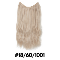 18/60/1001