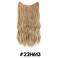 22H613